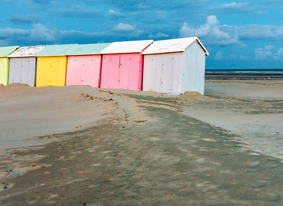 Cabanes roses- coup de coeur Lauriers-roses