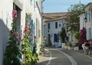 circuit-train-des-mouettes Mornac Lauriers roses