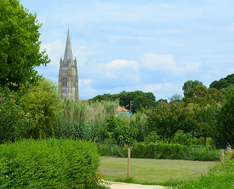 tout sur Marennes.clocher-Saint-Pierre-Lauriers-Roses