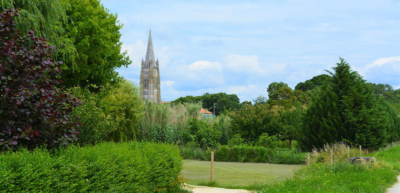 tout sur Marennes.clocher-Saint-Pierre-Lauriers-Roses