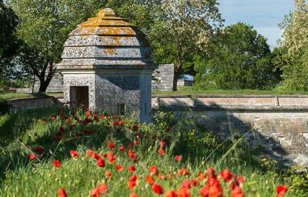 Brouage-Cyclotourisme Marennes-Logis des Lauriers Roses