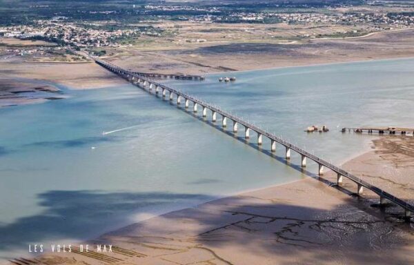 Pont-oleron-Lauriers-Roses-Marennes