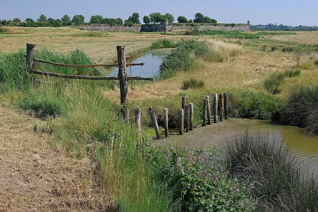 Brouage_le-Marais le marais de Brouage depuis Marennes